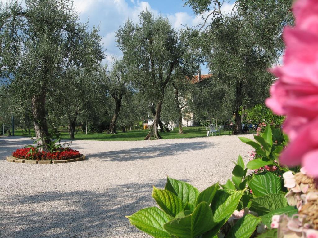 Hotel Zanetti Torri Del Benaco Exterior foto